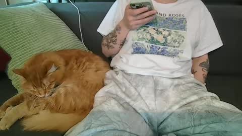 alliebearx online show from 06-27-26, 10:15