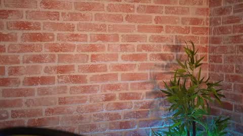 Allie online show from 12-21-24, 09:01