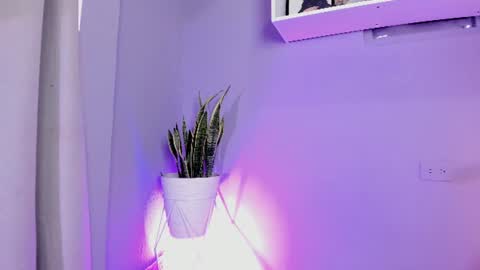 Snapshot of allison_peach chatting on 06-19-26, 08:56 Alisson online show from 06-19-26, 08:56