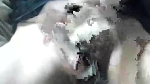 Snapshot of allways395 chatting on 09-28-25, 03:34 allways395 online show from 09-28-25, 03:34