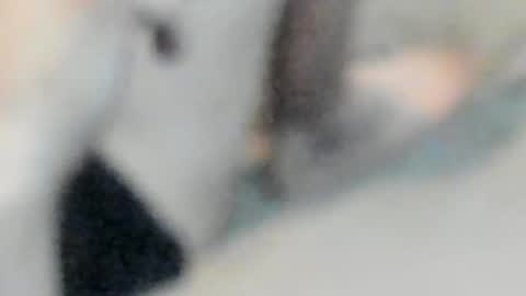 Snapshot of allways395 chatting on 10-25-25, 05:04 allways395 online show from 10-25-25, 05:04