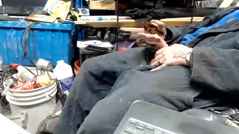 allwolf0323 online show from 04-17-26, 09:23