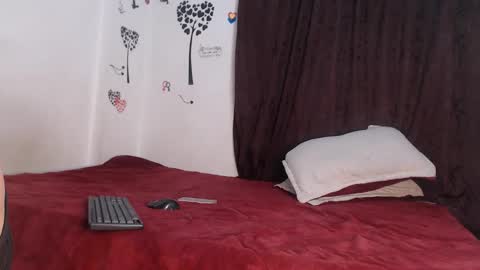 Snapshot of allyka_transsm chatting on 04-19-26, 04:01 Allyka online show from 04-19-26, 04:01
