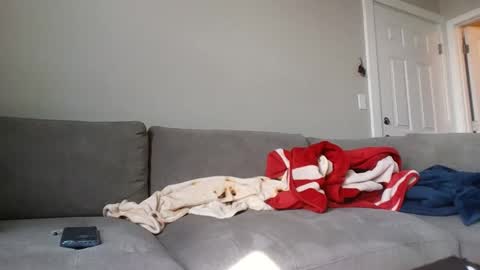 Snapshot of allylove2626 chatting on 09-09-25, 04:39 allylove2626 online show from 09-09-25, 04:39