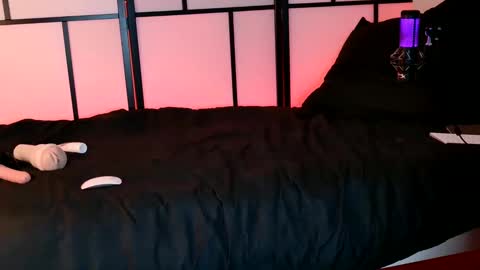 Snapshot of allys_secret chatting on 12-03-24, 08:17 Call me Ally online show from 12-03-24, 08:17