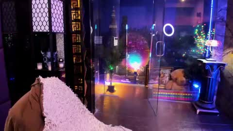 Alma online show from 04-18-26, 10:30