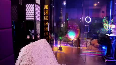 Snapshot of alma_pearl chatting on 05-17-26, 09:38 Alma online show from 05-17-26, 09:38
