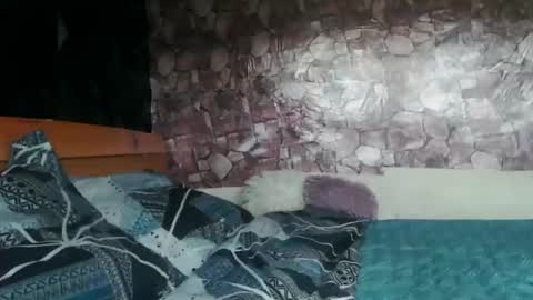 Almah online show from 03-31-26, 09:43