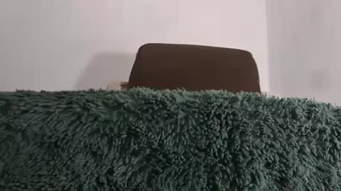 alotofcream4u online show from 07-17-26, 02:29