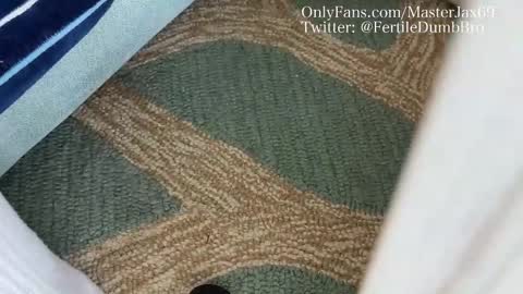 Snapshot of alphamasterjax chatting on 10-27-25, 04:00 MasterJax69 online show from 10-27-25, 04:00