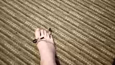 Couplefilth online show from 04-02-26, 07:55