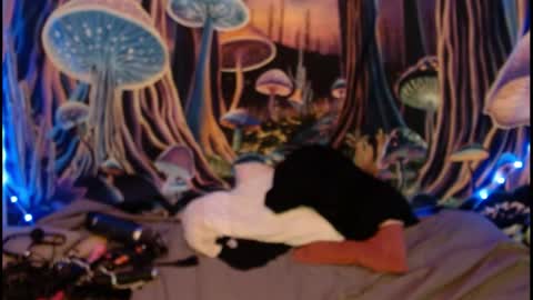 Snapshot of alyssaarcane chatting on 05-28-26, 09:34 alyssaarcane online show from 05-28-26, 09:34