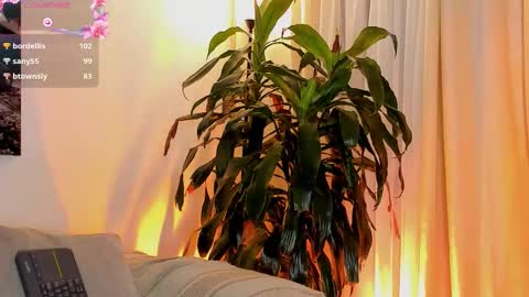 Amatista online show from 11-01-25, 11:07