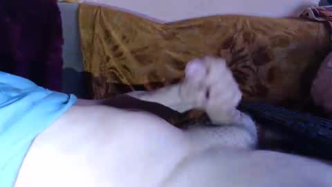 Snapshot of amazingcuteboy845 chatting on 04-15-26, 08:20 amazingcuteboy845 online show from 04-15-26, 08:20