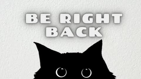 Snapshot of ambarsantany chatting on 02-05-25, 02:51 AmbarSantany  online show from 02-05-25, 02:51