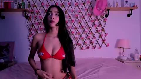 amber_love04 online show from 06-17-26, 09:05
