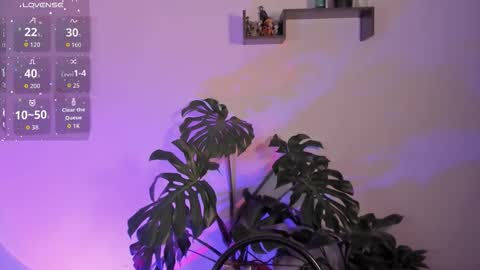 Vivi  online show from 01-12-26, 04:50