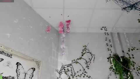 Ameli online show from 02-18-26, 02:29