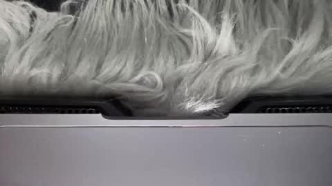 Amelia online show from 03-15-26, 06:58