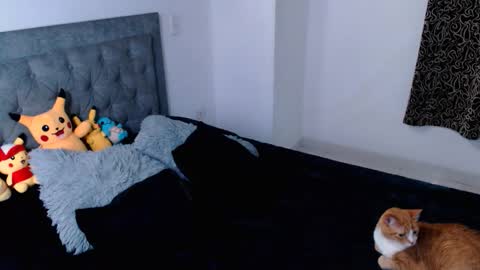 diana online show from 04-16-26, 12:00