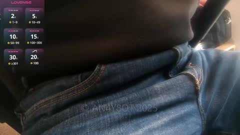 A online show from 01-13-25, 02:21