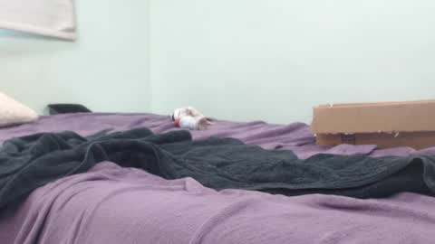 AnalKing online show from 10-14-25, 10:43