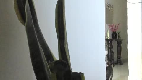 Snapshot of anapakerman chatting on 03-09-25, 12:42 Ana Pakerman online show from 03-09-25, 12:42