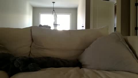 Andees222 online show from 12-19-25, 04:36