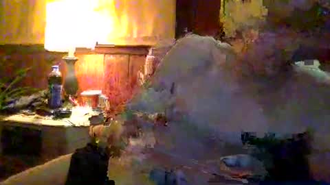 rayray32 online show from 01-09-25, 03:36