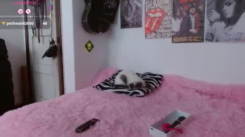 Snapshot of andy_rock_ chatting on 11-06-25, 02:29 andy online show from 11-06-25, 02:29