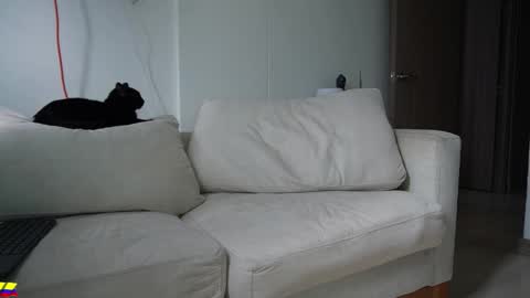 my onlyfans     online show from 03-28-26, 07:35