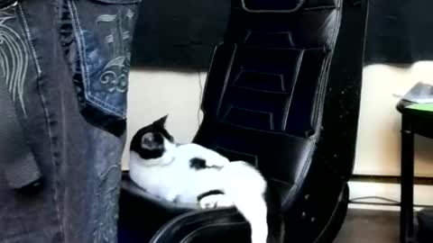 andybadass online show from 04-11-26, 02:32