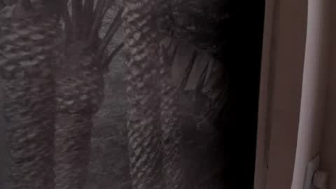 Snapshot of angelierose_ chatting on 06-27-26, 12:33 Angelie Rose online show from 06-27-26, 12:33