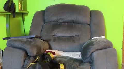 Angel online show from 02-18-26, 02:24