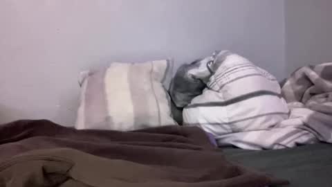 Animeboygirls online show from 01-10-25, 05:05