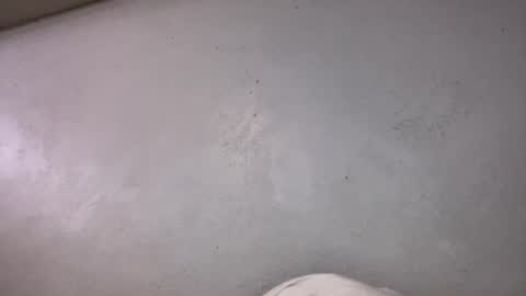 Animeboygirls online show from 10-19-25, 06:36