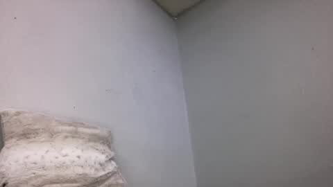 Animeboygirls online show from 03-16-26, 02:39