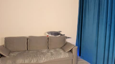 anna miuu online show from 12-05-24, 05:37