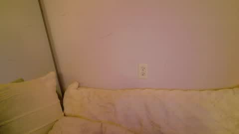 meow online show from 11-08-25, 05:29