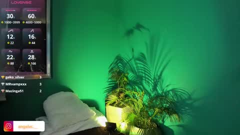 ANG  online show from 02-15-25, 11:58