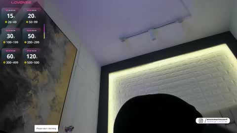 ANNIE online show from 01-10-26, 11:45