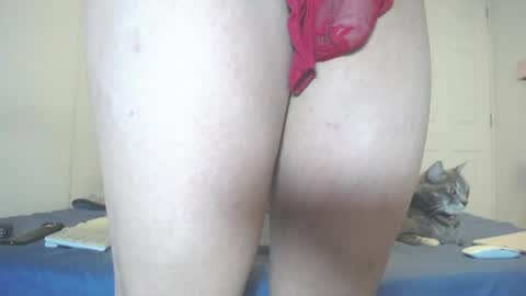 Snapshot of anny_bunny1 chatting on 07-11-26, 06:43 INDEPENDENT MODEL next srteam 240624 online show from 07-11-26, 06:43