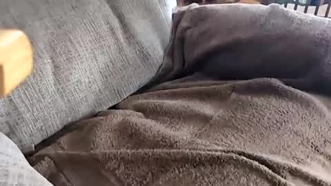 jay online show from 11-20-25, 04:18