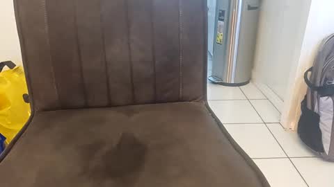 Snapshot of anotherstarfish chatting on 02-18-25, 04:05 anotherstarfish online show from 02-18-25, 04:05