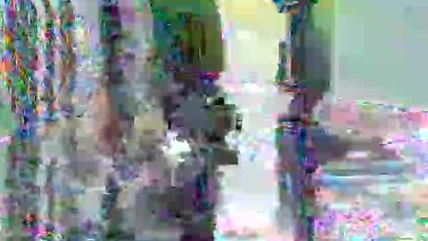 anssyboy696 online show from 11-07-25, 07:36