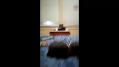 Snapshot of anthonymichael691973668762 chatting on 03-03-26, 07:14 anthonymichael691973668762 online show from 03-03-26, 07:14