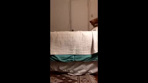 Snapshot of antonino85 chatting on 03-19-26, 11:09 antonino85 online show from 03-19-26, 11:09