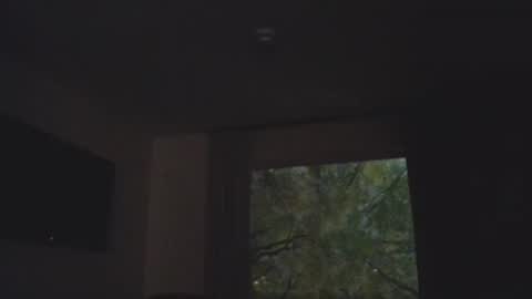 Daddy online show from 11-05-25, 01:38