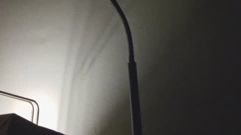 Daddy online show from 01-09-26, 07:44