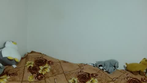 apache_710 online show from 11-20-25, 02:34